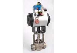 CT2106-Roundup-conval CT2106-Roundup-conval