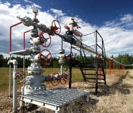 7-162196-OILANDGAS-PlantwebDLO-Bremer-193 7-162196-OILANDGAS-PlantwebDLO-Bremer-193