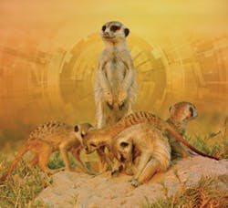 CT1912-FC-294x277 CT1912-FC-294x277