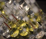 IF-2042-Life-Sciences-forum-lp IF-2042-Life-Sciences-forum-lp