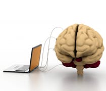 Emex15-Brain2 Emex15-Brain2