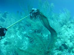 2013-02-22_10_11_06 2013-02-22_10_11_06