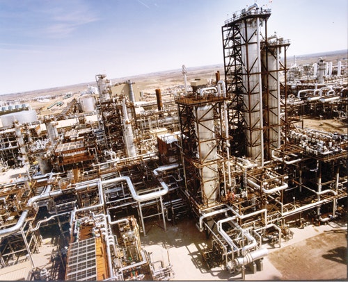 1660254358630 Cg1202shellplant