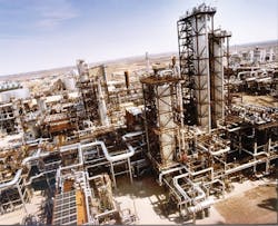 CG1202-Shell-Plant CG1202-Shell-Plant