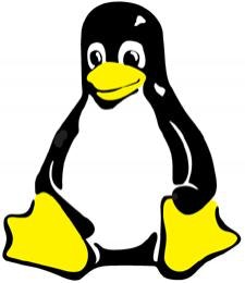 1660255268873 Resizedimage225260ct0407 Tux