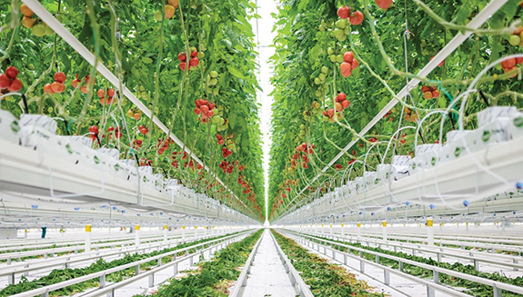 1660316752336 7fotostrapacekvradkuhero2