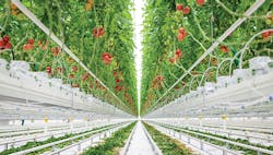 1660316752336 7fotostrapacekvradkuhero2 1660316752336 7fotostrapacekvradkuhero2