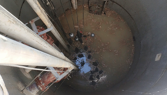 1660317080869 Fig1img20210902144819web