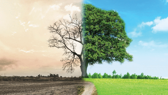 1660317121099 Howtokeepyourcontrolsystemyounghero