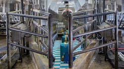 Automated-Dairy-Header-hero Automated-Dairy-Header-hero