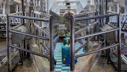 1660317610495 Automateddairyheaderhero 1660317610495 Automateddairyheaderhero