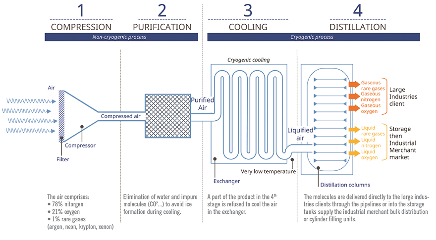 1660318164436 Ct2102feat3fig1
