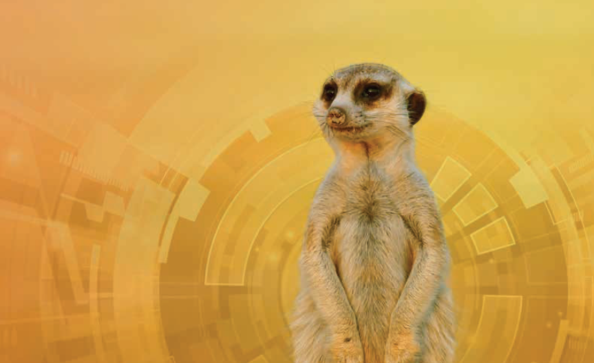 1660318551561 12daysofcybersecurityhero