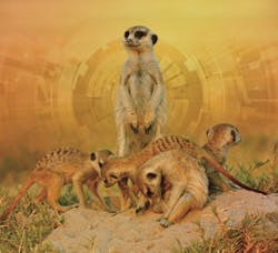 CT1912-FC-294x285 CT1912-FC-294x285