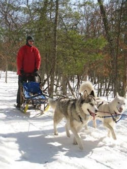 Sands-personal-300-compressor Sands-personal-300-compressor