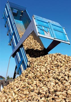 CG1505-Feat3Fig1 CG1505-Feat3Fig1