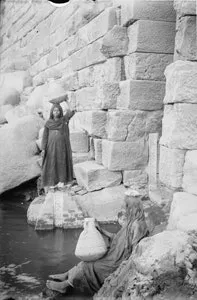 CG1208-Feat2-Fig1 CG1208-Feat2-Fig1