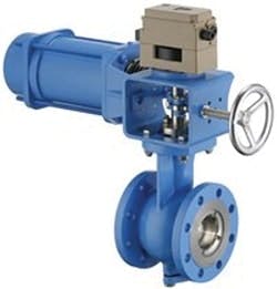 CG1007_Samsonhires CG1007_Samsonhires