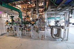 CG1010_Plant2 CG1010_Plant2