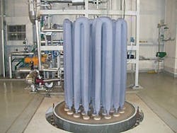 CG1010_Plant3 CG1010_Plant3