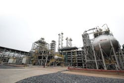 CG1010_Plant1 CG1010_Plant1