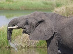 CG0911_LL1 CG0911_LL1