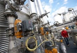 CG0904_Celulosa4 CG0904_Celulosa4