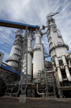 CG0904_Celulosa2 CG0904_Celulosa2