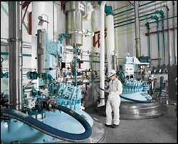 CG0906_Cov1 CG0906_Cov1