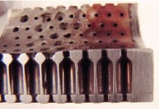 CG0911_Feat1Fig1 CG0911_Feat1Fig1