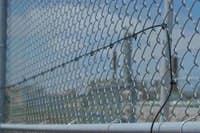 CG0811_Out1 CG0811_Out1