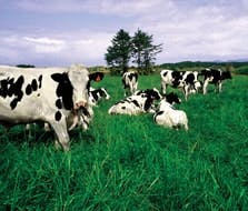 0709_Data1 0709_Data1