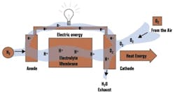 article_221_fig5 article_221_fig5