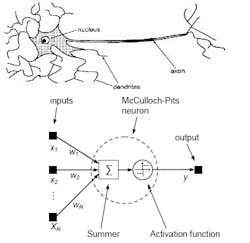 article_221_fig1 article_221_fig1