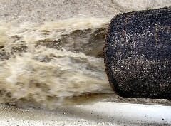 article_201_fig4 article_201_fig4