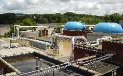 article_192_fig1 article_192_fig1