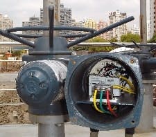 article_135_fig1 article_135_fig1