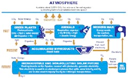 article_105_fig article_105_fig