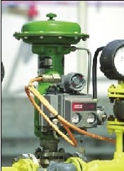 article_525_fig2 article_525_fig2