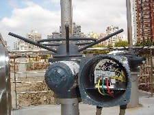 article_465_fig2 article_465_fig2