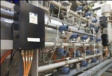 article_459_fig1 article_459_fig1