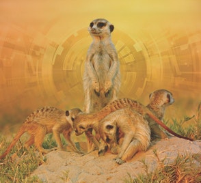 1660601322958 Ct1912fc294x298