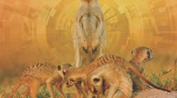 1660601355359 Ct1912fc294x271 1660601355359 Ct1912fc294x271