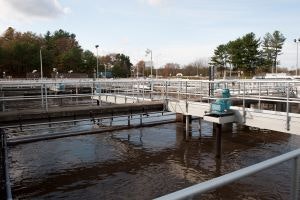 1660601440275 Eosiphoto2