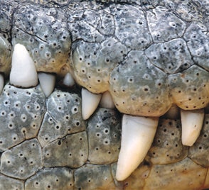 1660601709561 Ct1806coverstoryleadartcompressor