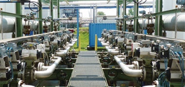 1660601760379 Cg1412hartplantyear2a