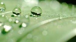 1660602030872 Cg1407lessonslearned 1660602030872 Cg1407lessonslearned