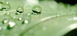 1660602030872 Cg1407lessonslearned 1660602030872 Cg1407lessonslearned
