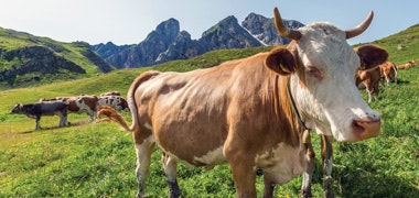 1660602226604 Cg1401feat3