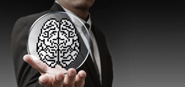 1660602400736 Cg1310emersonbrain